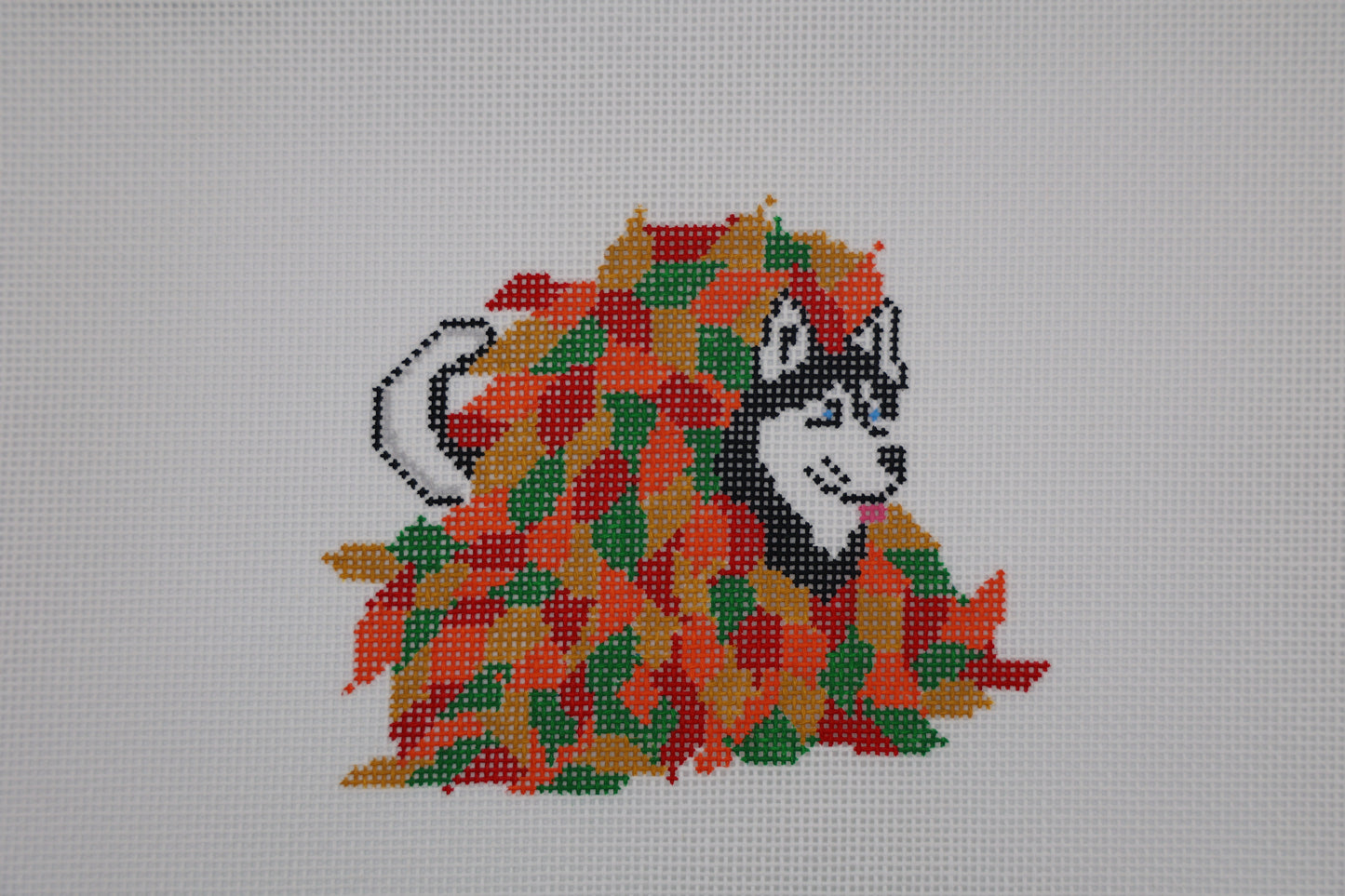 Siberian Husky in Fall Leaves