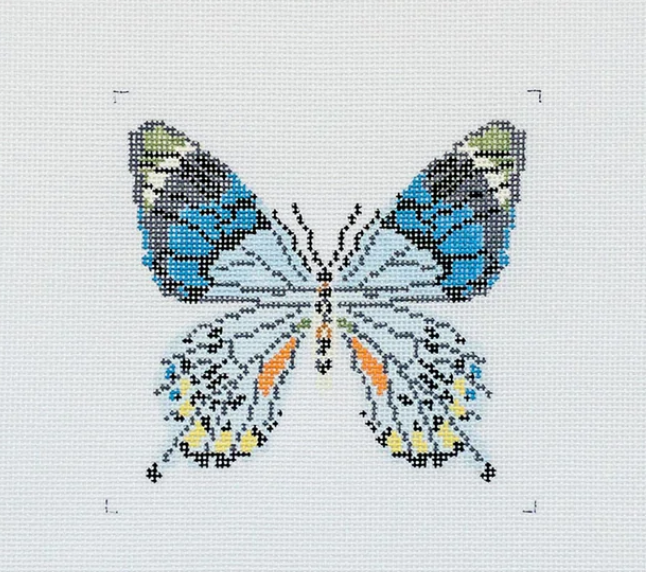 Blue Grey Butterfly