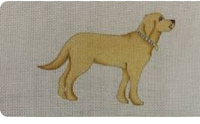Golden Pup