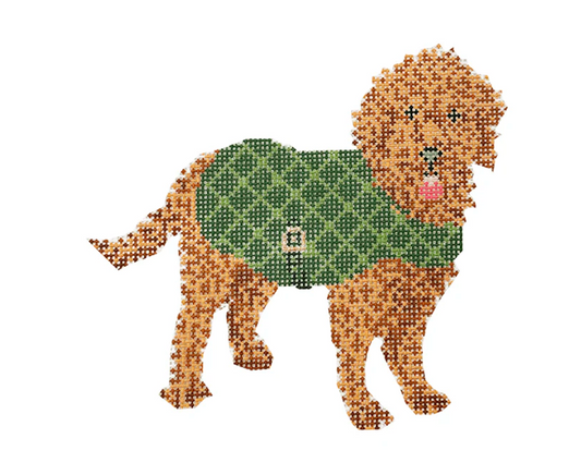 Golden Doodle with Green Coat