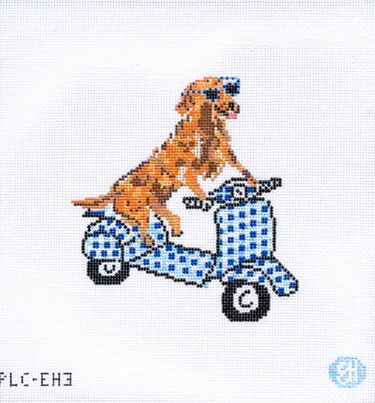 Golden on a Moped